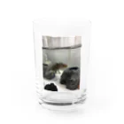 4ママブイやんのウーパールーパーのクロスケ Water Glass :front