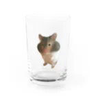 天外魔境IIの襲来！はむはむ Water Glass :front