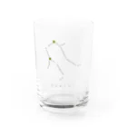 iiiiikustanの星座シリーズ　ふたご座　双子座　グッズ Water Glass :front