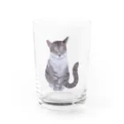 muramotochihiroのギザ耳CAT グラス前面