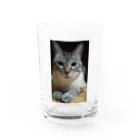 chacomameのましゅまろくん Water Glass :front