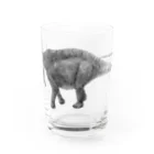 segasworksのAmargasaurus（白黒） Water Glass :front