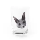 Vermeer-ふぇるめーるのふぇるくん　まんまるおめめ Water Glass :front