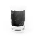 海賊猫 cocoのハロウィン🎃Halloween🦇蝙蝠♱"You know I'm bat"♱Keep Calm and Goth On♱ゴシック ゴスロリ Water Glass :front