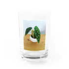 まゆらびのベゴニアマクラータちゃん Water Glass :front