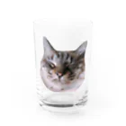 ねこがいるからがんばれる！のまんぷくちゃん Water Glass :front