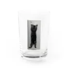 たけのこのお店の猫タンブラー Water Glass :front