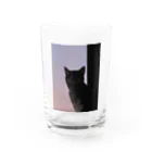 たけのこのお店の黄昏ねこ Water Glass :front