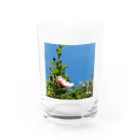 風車堂の6'-Family Ensemble Water Glass :front