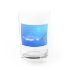 水まんじゅう屋さんのシロワニちゃん Water Glass :front