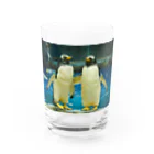 ペンギンの写真のジェンツーペンギン　写真　リアル　仲良し Water Glass :front