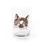 猫ねむりzzz..のブチ猫さん(ワンポイント)  Water Glass :front