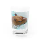 アラコ。の物憂げなカピバラ Water Glass :front