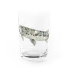 恒福水路のガーパイク（スポテッドガー）グラス Water Glass :front