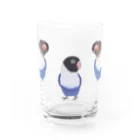 happybirdのとり二ティグラス Water Glass :front