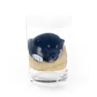 小豆のこまめくん Water Glass :front