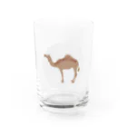 リケティラボのキャメルケースくん Water Glass :front