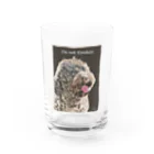 ミリオンダラー・ドッグ（million dollar dog）のミリオンTYPE-B（I'm not Einstein） Water Glass :front