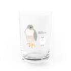 小鳥じるしのハヤブサの親子 Water Glass :front