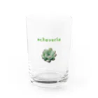 ハナのお店の多肉植物（ドット） Water Glass :front