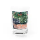 commeのセプテンバー Water Glass :front