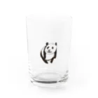 アイザワ商店　こしぇるのぱんだ君① Water Glass :front