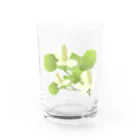 hiromu.のドクダミの花 Water Glass :front