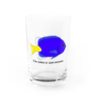 mihuneのシリキルリスズメダイ Water Glass :front