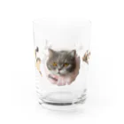 ごまわさびの銀子お嬢 Water Glass :front