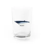 オガワユミエのミンククジラ Water Glass :front