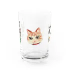 suwamiSHOP SUZURIのねこたち Water Glass :front