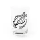 LalaHangeulのAnomalocaris (アノマロカリス) Water Glass :front