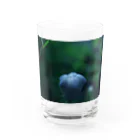 ﾛｯﾄﾓｰﾝﾄのつぼみ Water Glass :front