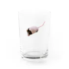 くつしたさんがなんか売るのパンダマウスのかわいいすがた Water Glass :front