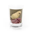 landscapeのみーすけちゃん Water Glass :front