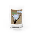 もちぴなぎのおもちねこ Water Glass :front