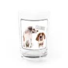 CELLOtoNERIのCELLONERI 2021.10 Water Glass :front