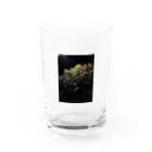 いつもの夜の金木犀 Water Glass :front