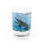 BLUE DOLPHINのLove Dolphin 4 Water Glass :front