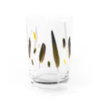 Happy birdsのコガネメキシコインコの羽 Water Glass :front