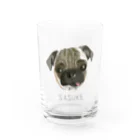 みきぞーん｜保護猫 ミッキー画伯と肉球とおともだちのsasuke Water Glass :front