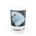 ことりみゆのリアルひなのちゃん Water Glass :front