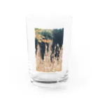 はやしの秋 Water Glass :front