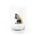 ポップならくがきのうちのねこちゃん Water Glass :front