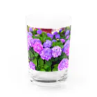 70.s popsのあじさいの Water Glass :front