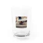 neko_00_nekoの明石の漁師町にいたサビ猫さん Water Glass :front