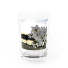 №820の№820 Water Glass :front