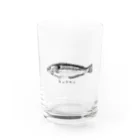 osakanayaのキュウセン♂ Water Glass :front