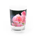 NEON LIGHT STARSの花包み Water Glass :front