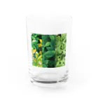 採色図鑑の#leaf_002 Water Glass :front